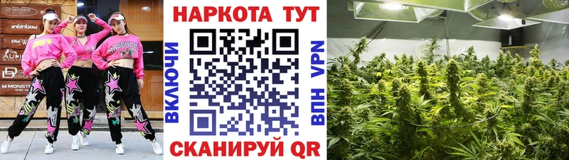 ГАШ Шарья