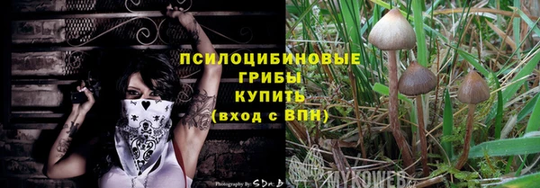 дурь Балахна