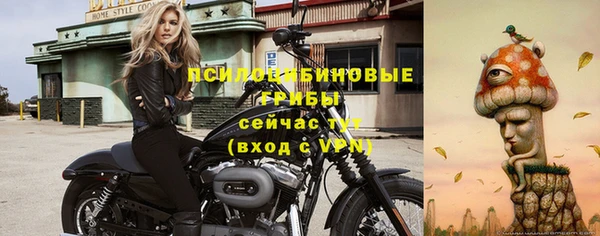 2c-b Баксан