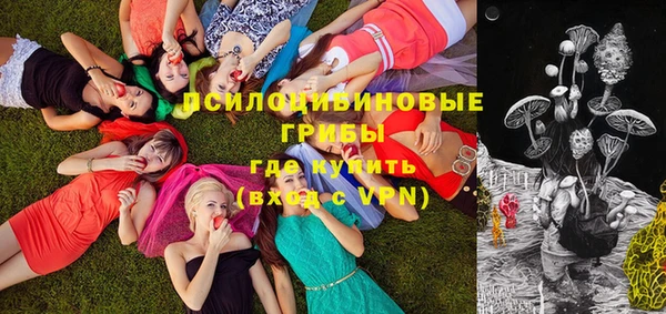 дурь Балахна